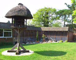 image of exterior of cattery